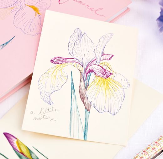 How To Draw Elegant Flower Illustrations With EMOTT