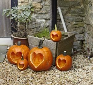 Pumpkin Carving Stencils