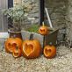 Carved Heart Pumpkins