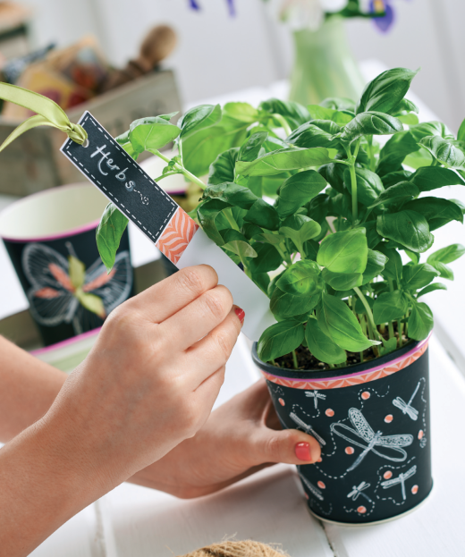 Chalkboard Plant Pots