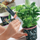 Chalkboard Plant Pots