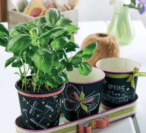 Chalkboard Plant Pots