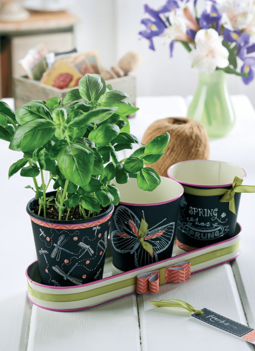 Chalkboard Plant Pots