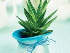 Make Air-Dry Clay Pots