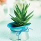Make Air-Dry Clay Pots