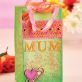 Colour-Pop Mothers Day Set