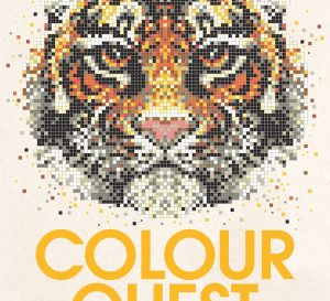 Colour Quest Downloads