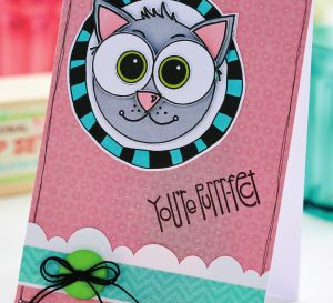 Decoupage Cat Card