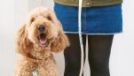 Sew a Dog Lead
