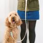 Sew a Dog Lead