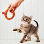 Dog and Cat Toys