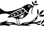 Feed The Birds