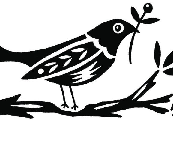 Feed The Birds
