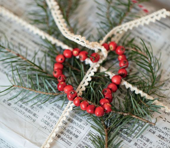 Gift Wrap with Winter Foliage