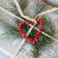 Gift Wrap with Winter Foliage