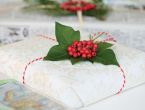 Gift Wrap with Winter Foliage
