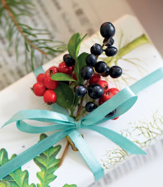 Gift Wrap with Winter Foliage