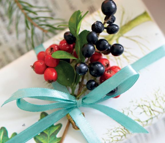 Gift Wrap with Winter Foliage