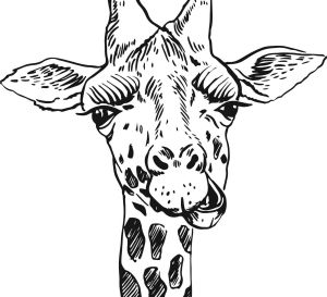 Safari Animals To Colour In