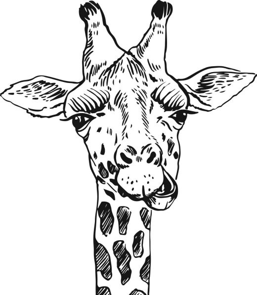 Download Safari Animals To Colour In - Free Card Making Downloads ...