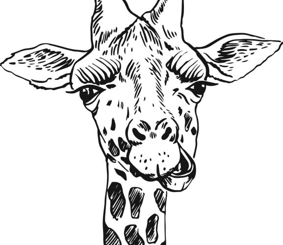 Safari Animals To Colour In - Free Card Making Downloads ...