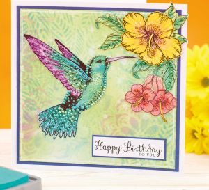 Stamp a Hummingbird Card
