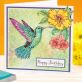 Stamp a Hummingbird Card