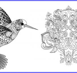 Hummingbird & Flower Art Therapy Designs Hummingbird & Flower Art Therapy Designs