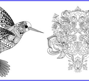 Hummingbird & Flower Art Therapy Designs