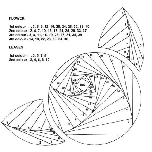Iris folding store
