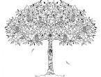 Johanna Basford’s Secret Garden Artwork