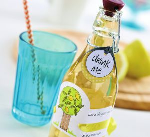 Lemonade Set