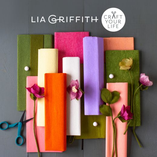 Win One of Three Lia Griffith Memberships & Craft Bundles