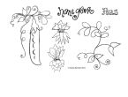 Painted Garden Gifts
