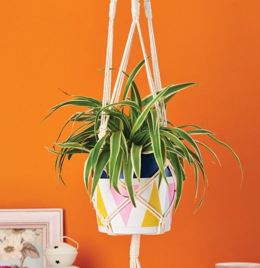 Create Your Own Painted Macramé Plant Hanger