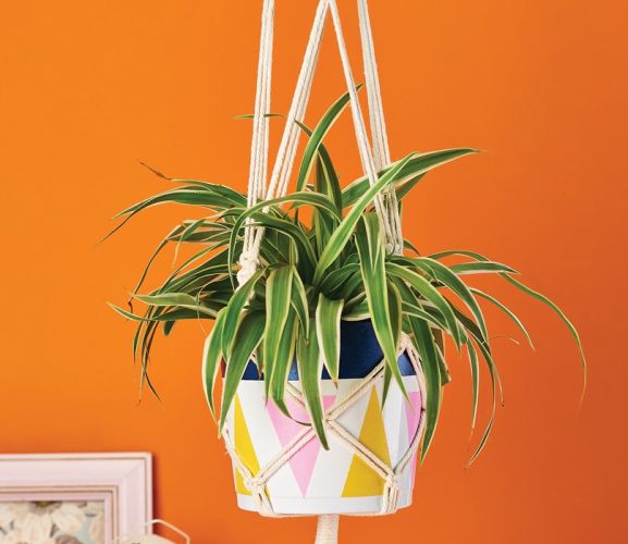 Create Your Own Painted Macramé Plant Hanger