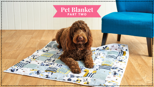 Make a Pet Blanket: Part Two