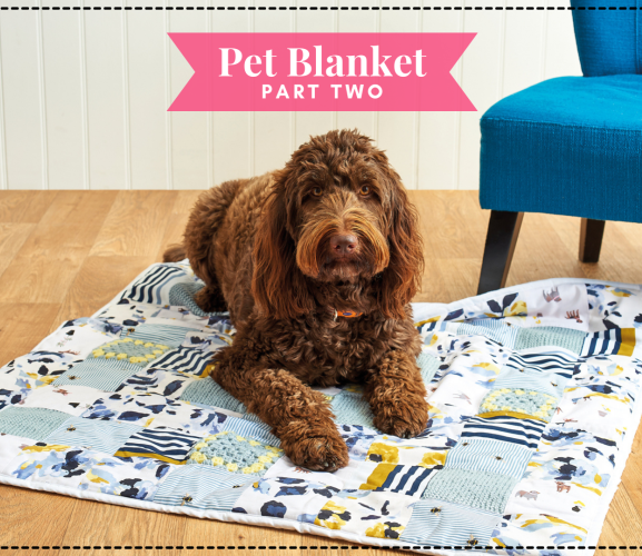 Make a Pet Blanket: Part Two