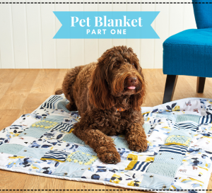 Make a Pet Blanket: Part One