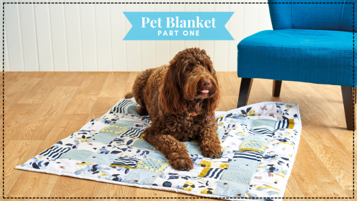 Make a Pet Blanket: Part One
