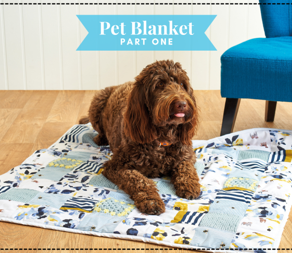 Make a Pet Blanket: Part One