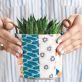 Stitch a Patchwork Plant Holder