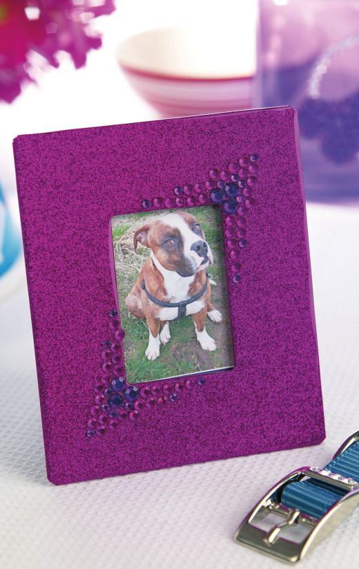 Pooch Sparkling Accessories