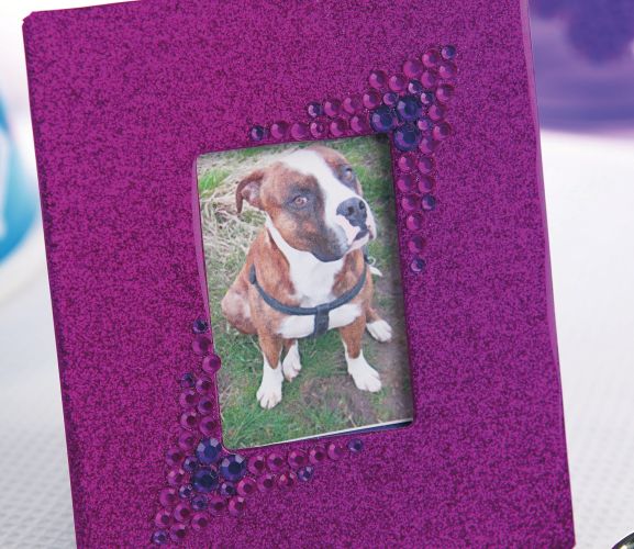 Pooch Sparkling Accessories