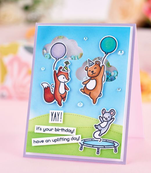 Make Cute Shaker Cards