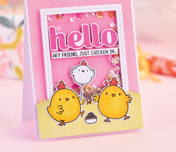 Make Cute Shaker Cards