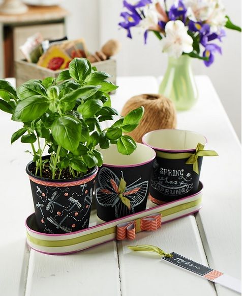 Sketched Garden Pots