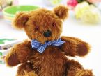 Soft Heritage Teddy
