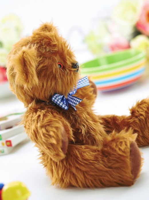 Soft Heritage Teddy