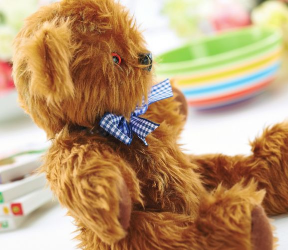 Soft Heritage Teddy